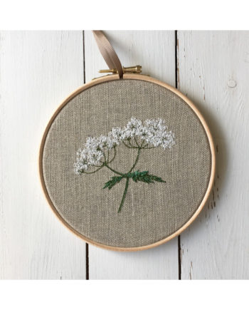 Sarah Becvar freehand machine embroidered cow parsley hoop