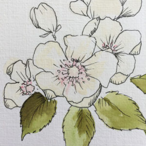 Apple Blossom Original Painting - Image 3