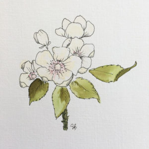 Apple Blossom Original Painting - Image 2
