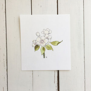Apple Blossom Original Painting