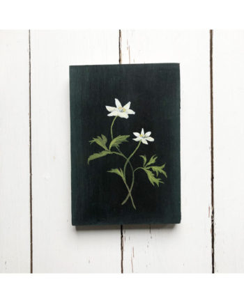 original wood anemone wild flower painting by Sarah Becvar