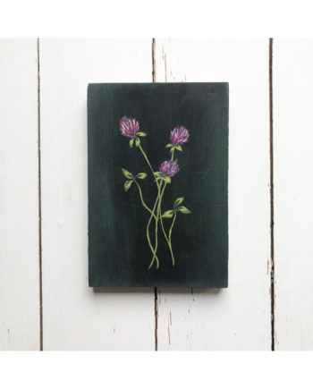 original painting of red clover by Sarah becvar