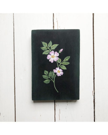 original dog rose painting by Sarah Becvar