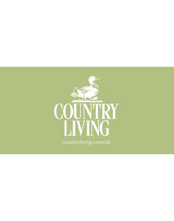 Sarah Becvar Design Freehand Machine Embroidery Textile Artist