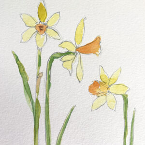 sarah becvar water colour flower painting