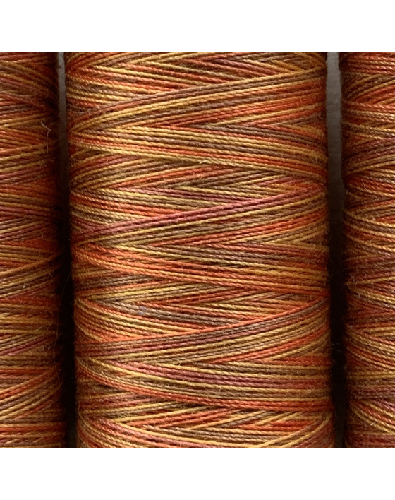 4004 gutermann sulky variegated thread
