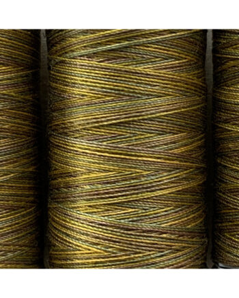 colour 4009 gutermann sulky variegated thread