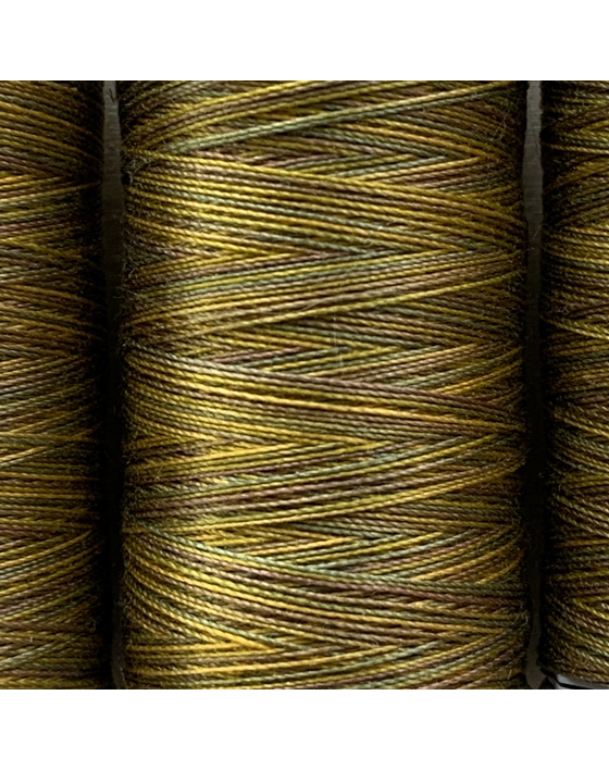 colour 4009 gutermann sulky variegated thread